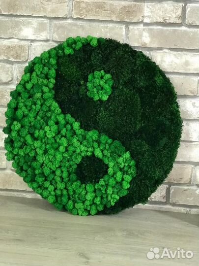 Мох стабилизированный оптом и в розницу