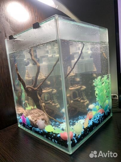 Аквариум с рыбками