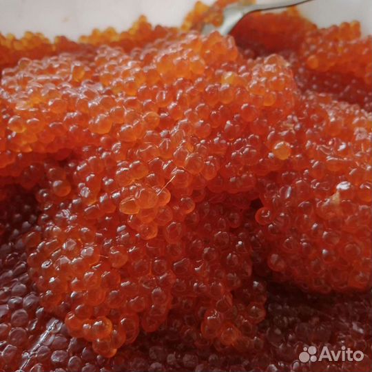 Икра Кеты(Охотск) Премиум качество