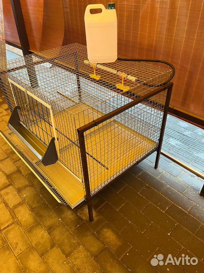 Клетки для кур несушек