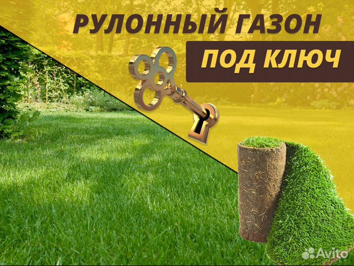 Рулонный газон укладка