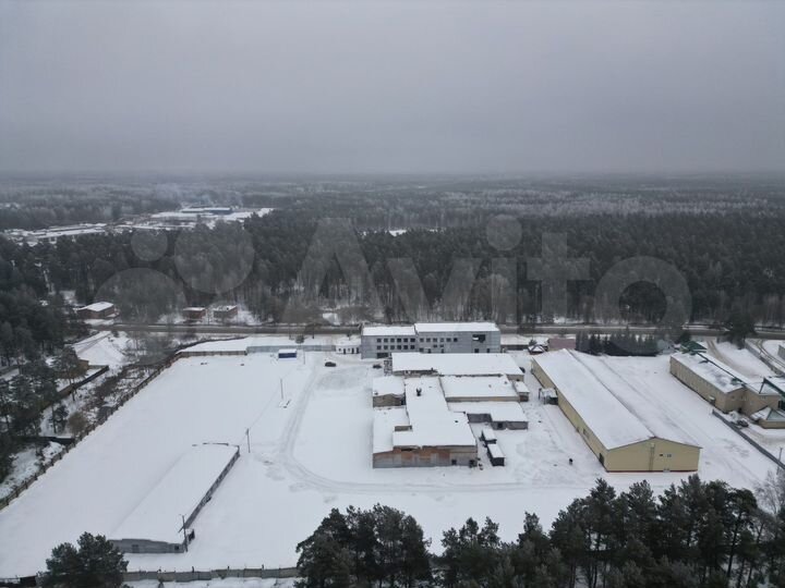 Производство 8000 м², 3.3 га