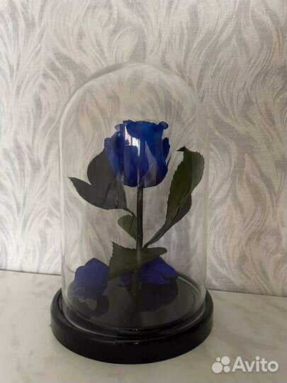 Синяя роза в колбе