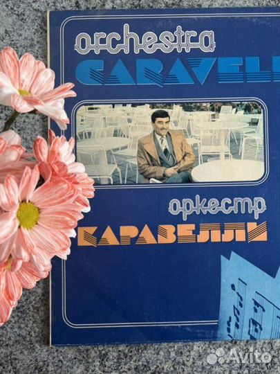 Виниловые пластинки очень большой список