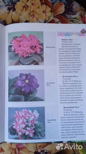 Книга Сенполии (уход за фиалками)