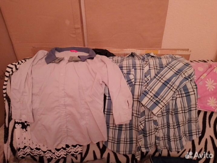 Женская одежда