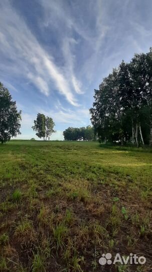 Земля для глэмпинга в аренду