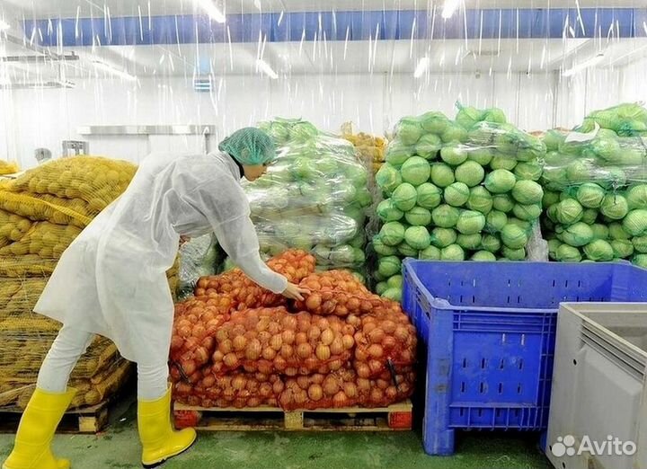 Доставка овощей