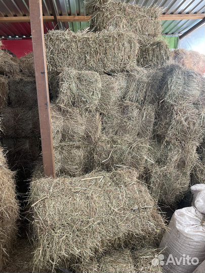 Сено, солома в тюках