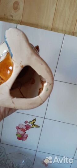 Олимпийский мишка, редкий