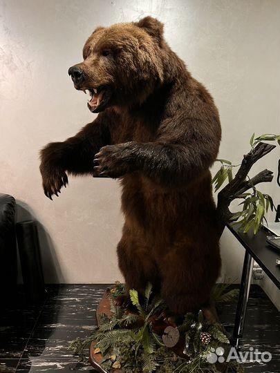 Медведь имитация. 195см