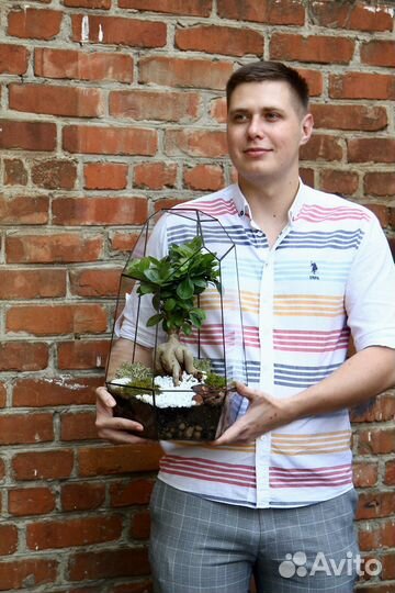 Флорариум, бонсай