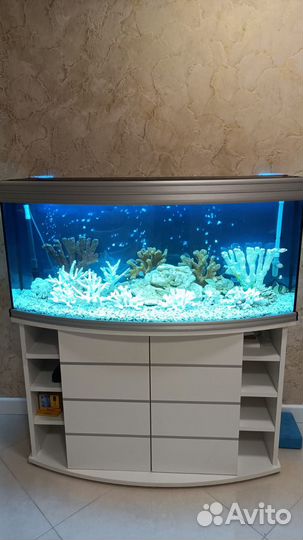 Обслуживание аквариумов