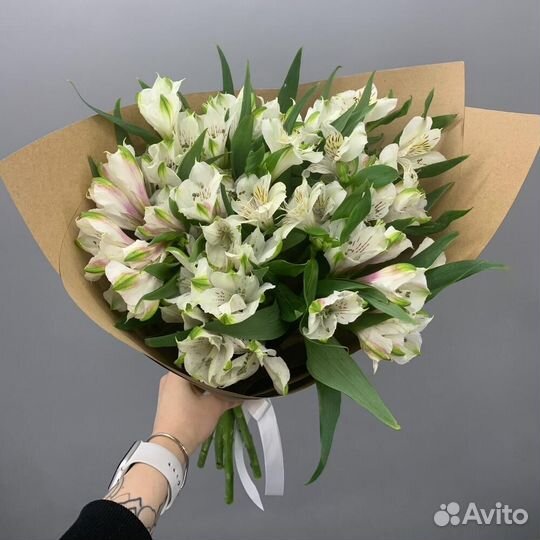 Моно из альстромерий