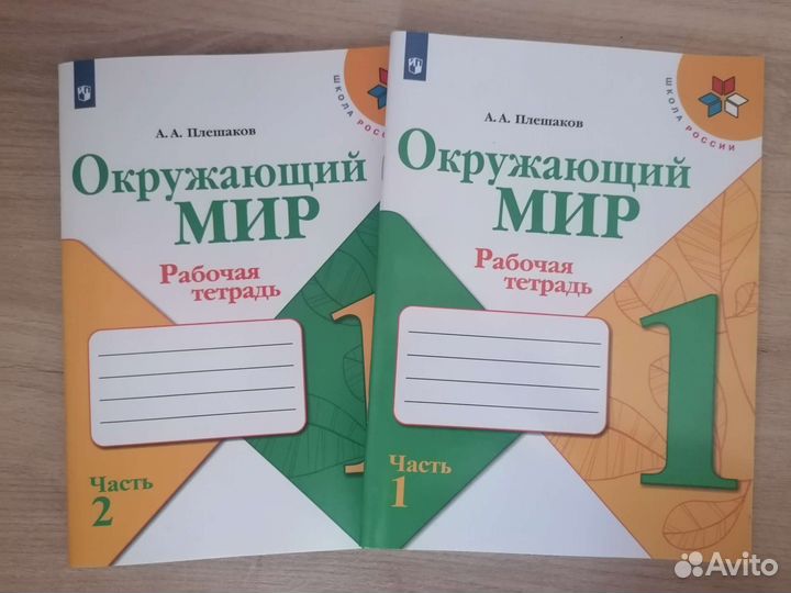 Рабочая тетрадь 1 класс