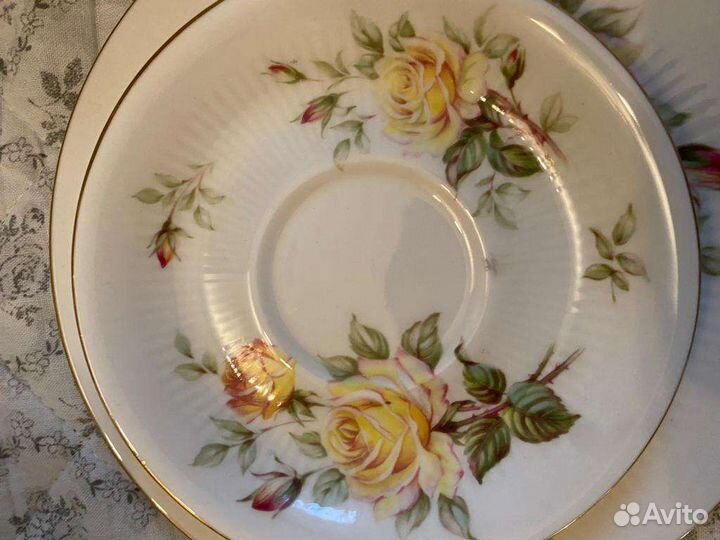 Paragon. Английские трио