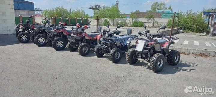 Квадроцикл Grizzly 200 Premium