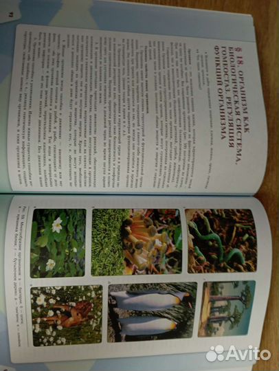 Учебник по биологии. 10 класс. Каменский А. А