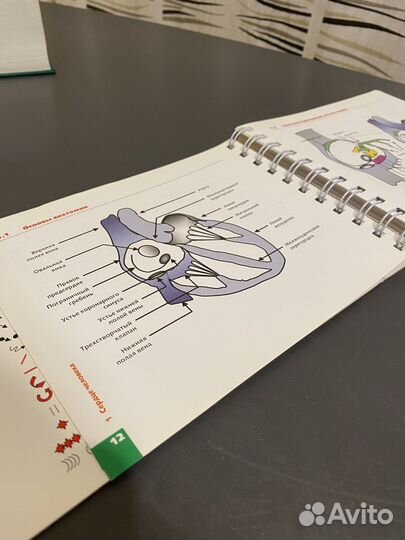 Книга 