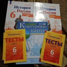 Рабочие тетради 6 класс