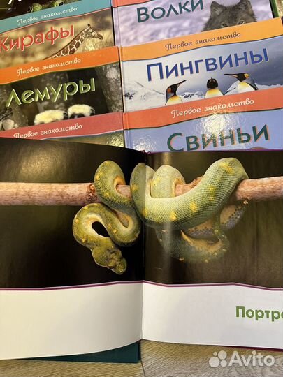 Серия книг о природе Первое знакомство