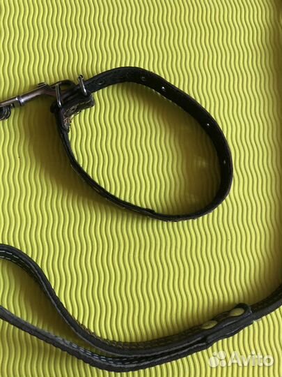Ошейник с поводком