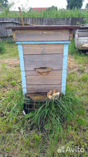 Улей с пчелами