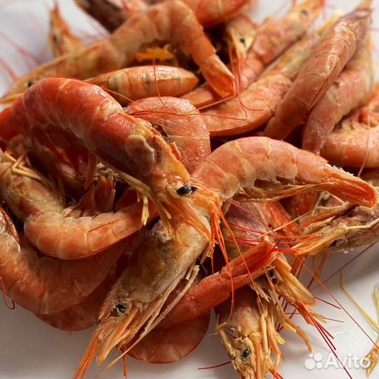 Креветка лангустин