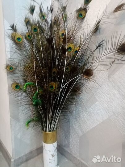 Перо павлина