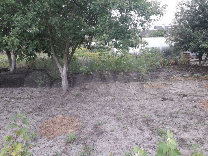 Участок 5 сот. (ИЖС)