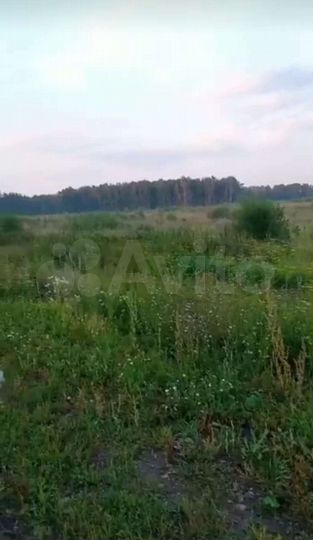 Участок 1,63 га (СНТ, ДНП)