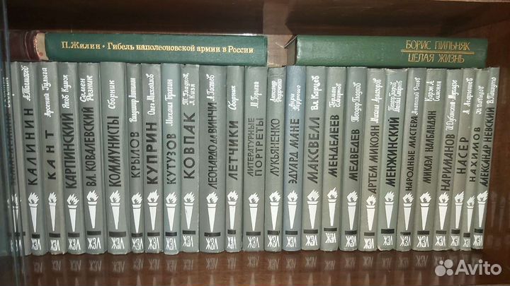 Книги, серия жзл