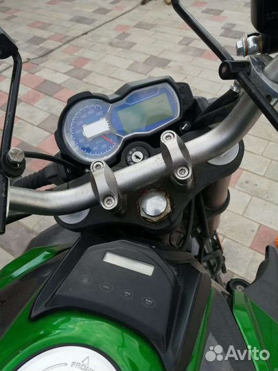 Regulmoto T-Leopard 300
