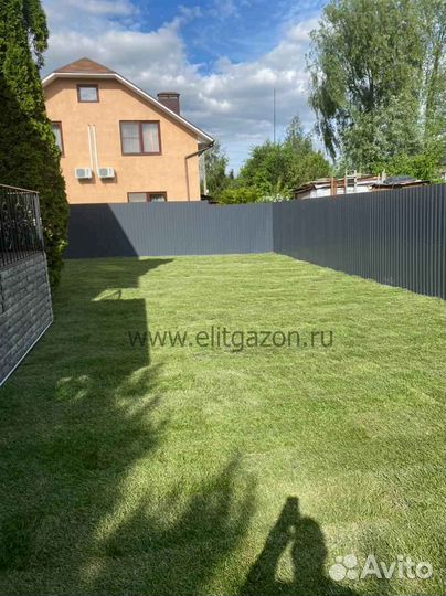 Укладка и продажа газона