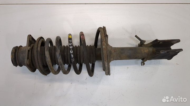 Амортизатор подвески Fiat Doblo, 2008