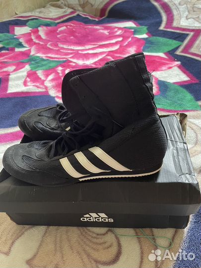 Боксерки adidas box hog 2