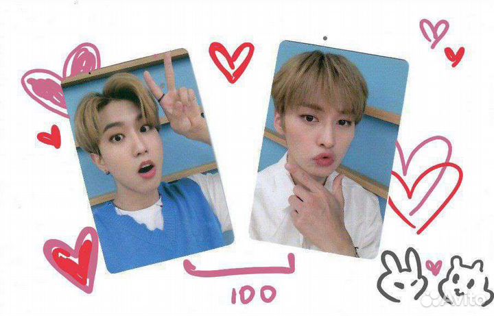 Stray kids minsung минсоны