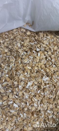 Геркулес кормовой