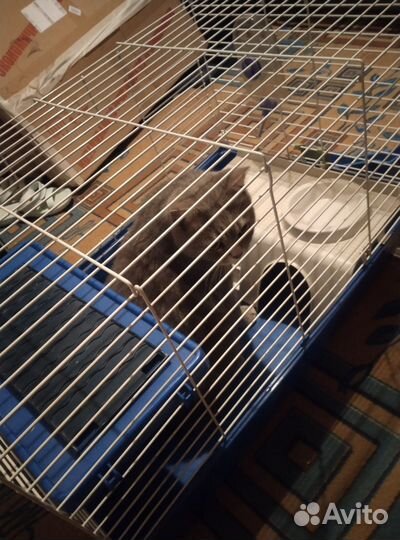 Клетка для декоративного кролика