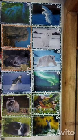 Наклейки Живая планета пуд