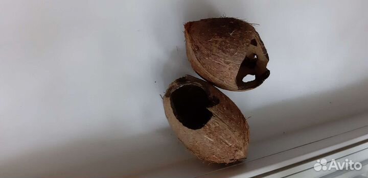 Скорлупа кокоса натуральная