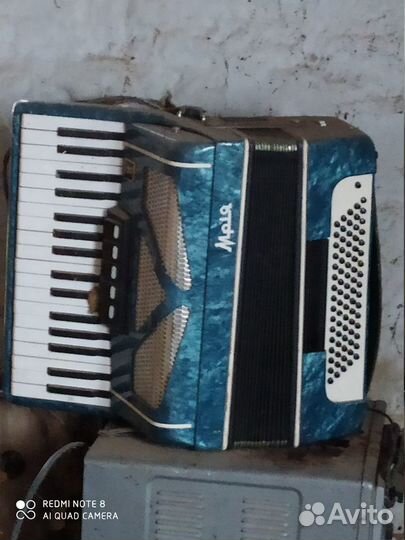 Аккордеон мрия