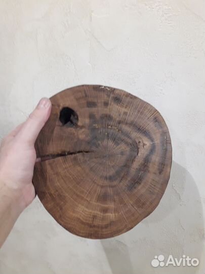 Спил дуба (d23см/h4см)