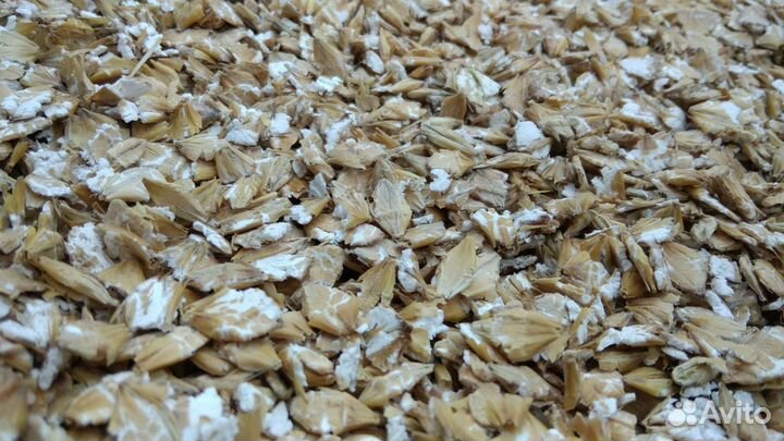 Ячмень плющеный Для Лошадей и Пони