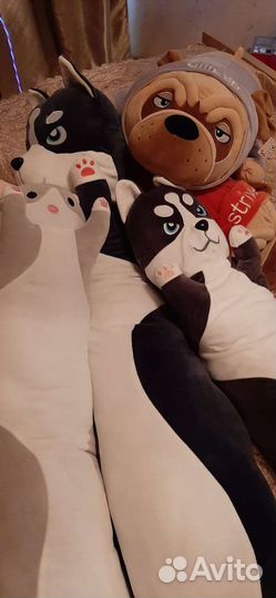 Собачки мопсы, хаски и коты батоны