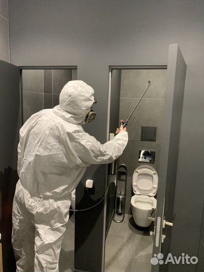 Обработка от тараканов, клопов, грызунов и др