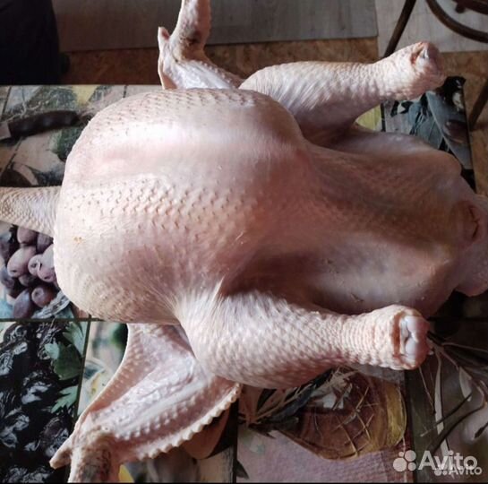 Мясо домашней индейки