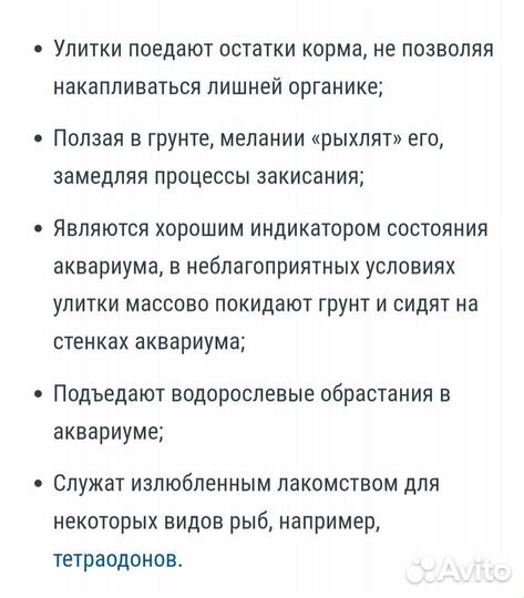 Улитки Мелании