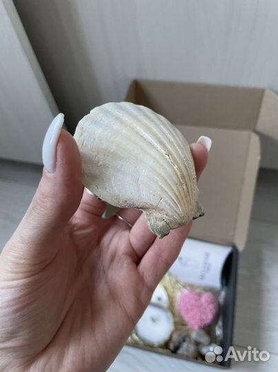 Набор свечи в ракушках, мыло,серьги