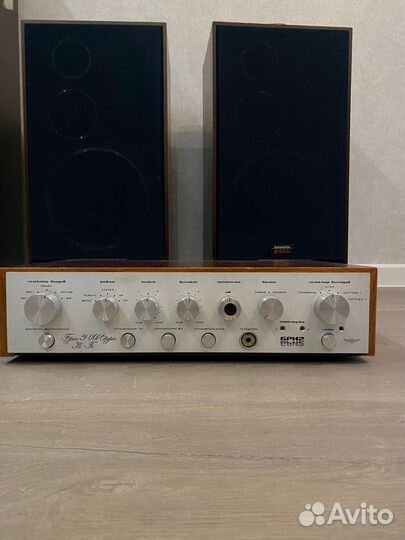 Колонки радиотехника s90d в комплекте